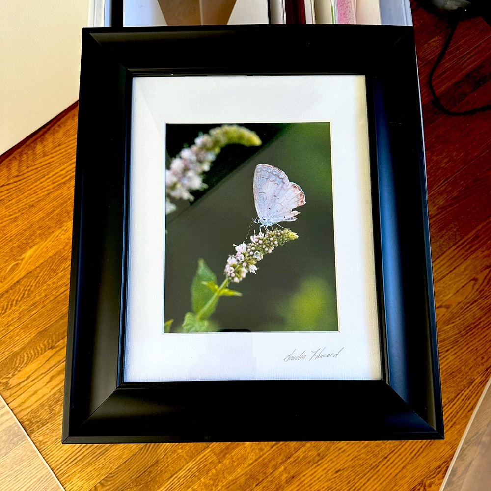 Spring Photographers print